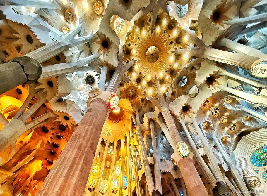 Tragende Säulen erklärt auf der Sagrada Familia Privattour mit Architekt